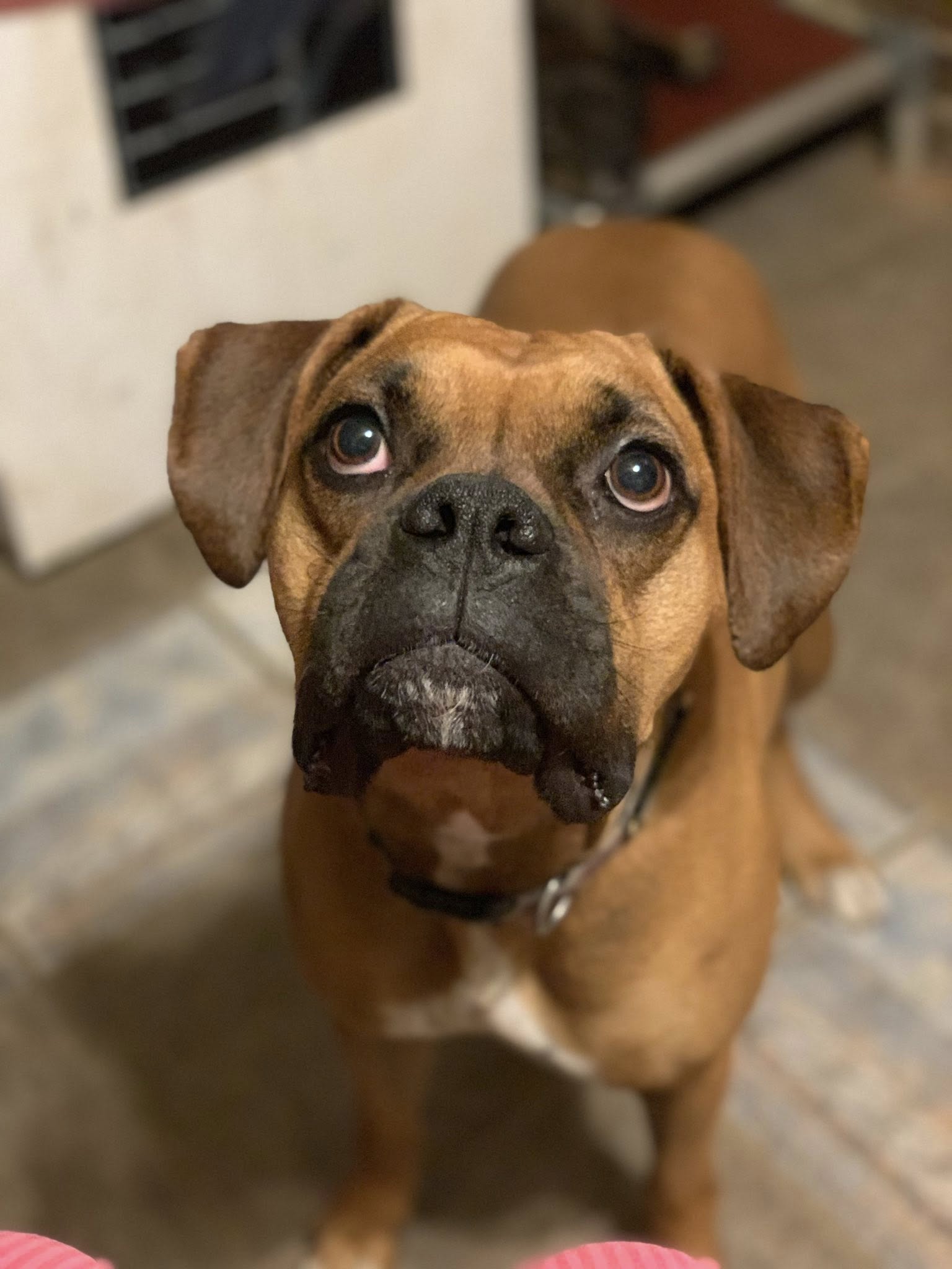 Jarvis: Standing Next To Me